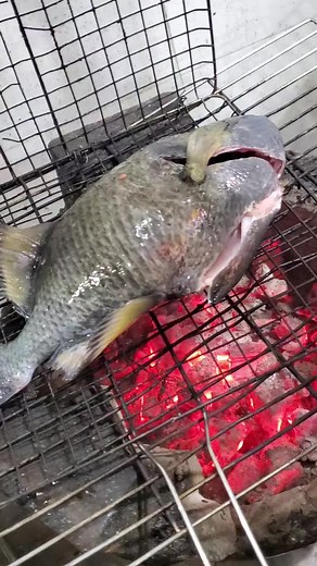 Grilling a Whole Grouper: A Delicious Seafood Recipe
