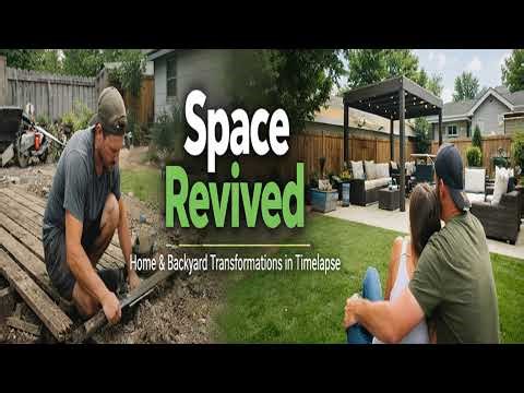 Mr Robinson Live Stream