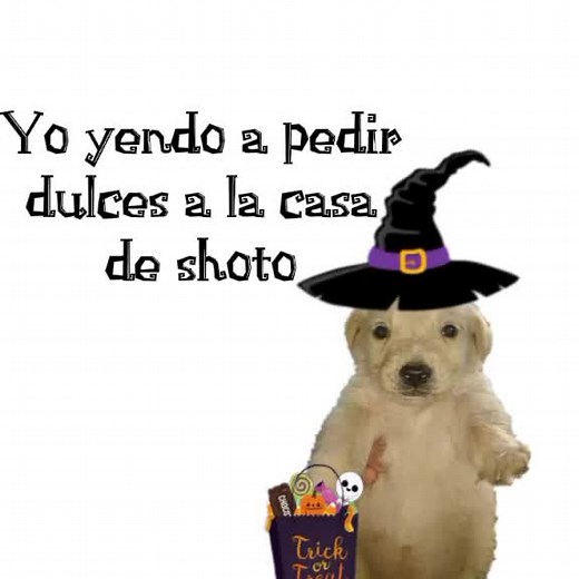 Boku no Hero Academia Humor Compilation Featuring Shoto