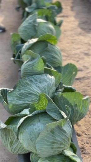 Imed Romdhani on Reels