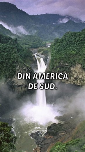 Cea mai mare pădure tropicală din lume