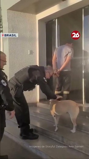 BRAZIL | POLICE INTERRUPTED THE ARREST OF A PRISONER TO GREET A STRAY DOG