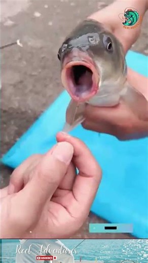 Quick Release Hook Remover: Effortless, Safe & Fast Hook Removal!