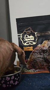 136 reactions · 7 comments | "Chef's Special Premium Dog Food seems...