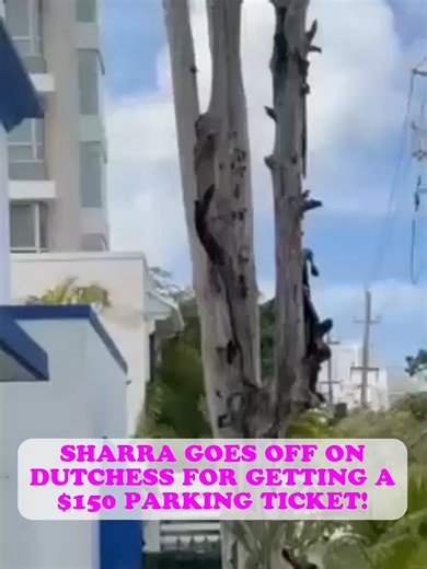Sharra goes off on Dutchess for getting a $150 parking ticket!#kountrywayne #kountrywayneskits #comedyvideo #viralvideo #love