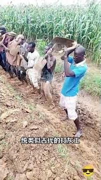 Centuries-Old African Collaborative Wisdom: Ditch Digging Like Excavators in Sync