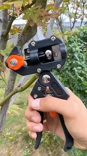 29K views · 180 reactions | Professional fruit tree grafting Tools Kit #grafting #graftingtechniques #goodthing #tool #tools #garden #gardening -7229543303979601195 | Grafting Planting | Facebook