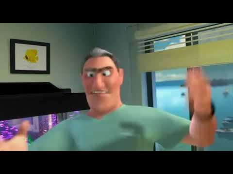 Crikey All The Animals Have Gone Mad