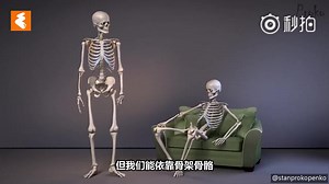 Proko传统美术绘画教学-12（人体解剖学入门）