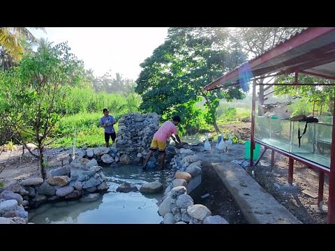 Dream Waterfall Pond DIY | Affordable, Easy, and Gorgeous!