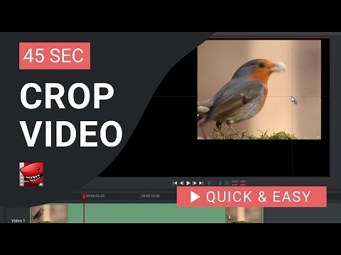 Lightworks Tutorial: How to Crop Video in Lightworks
