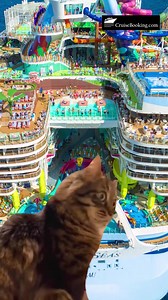 Can you believe these affordable cruise prices? Absolutely! CruiseBooking.com Offers amazing deals. [Cruise Booking, Cruise, Bahamas Cruise, Luxury Cruise, Ocean Cruise, cruise packages, Cruise Travel, Cruise Destinations, Cruise Deals, Caribbean Cruise, Cruise Holiday, affordable cruise, Alaska Cruise, World Cruise, cruise discounts] Book Your Dream Cruise Now! Link in Bio. | CruiseBooking