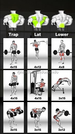 Achieve a V-Taper: Best Exercises for a Wider Back!