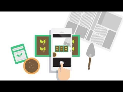 EasyStore: Your Own Brand Online Store