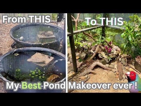 Epic Pond Makeover Combining Two Aviary Ponds Into One Masterpiece!