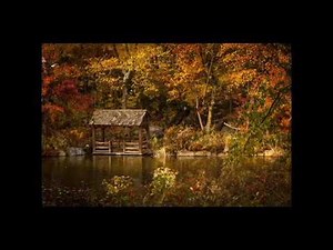 Les 4 saisons de Vivaldi - Automne - 2eme mouvement -Adagio Molto - Musique classique