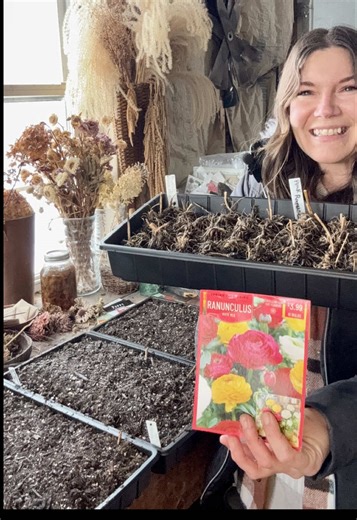 How to Grow Ranunculus Flowers for Northern Gardens