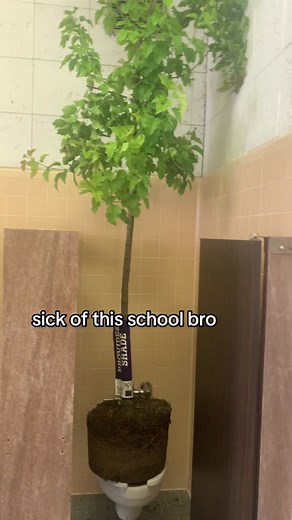 ive had about enough #lorax #letitgrow