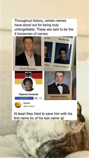 The 4 horsemen of names
