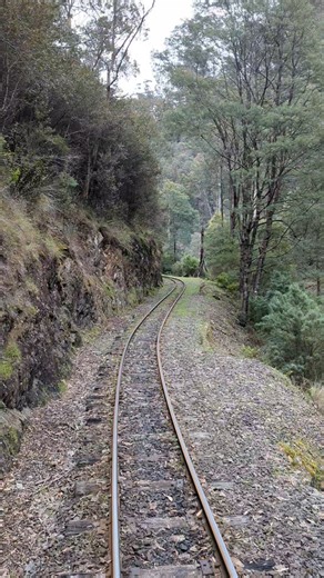 Train ride at walhalla 🇦🇺 #TrainRideAdventure #walhalla #nature #countryside | Sarah Joy Bentican