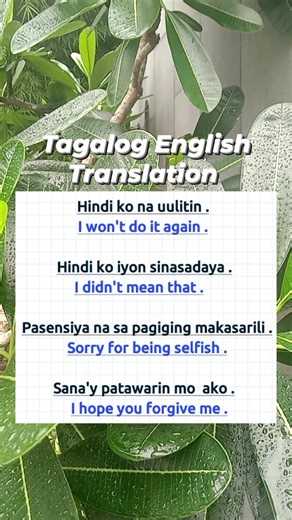#education #vocabulary #educational #learning #TagalogEnglish #English #basicenglish #basic #filipino #filipinoEnglish | Learning Tagalog English Translation