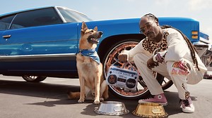 Snoop Dogg releases new pet accessory line called "Snoop Doggie Doggs"