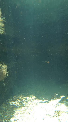 Florida Panhandle Spring | Florida Panhandle Springs and Fossils