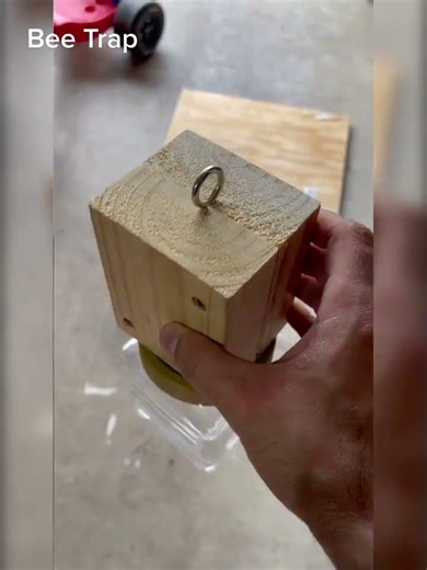How to make a carpenter bee trap #diy #bees #beetrap #makeyourown #bee #trap #summer