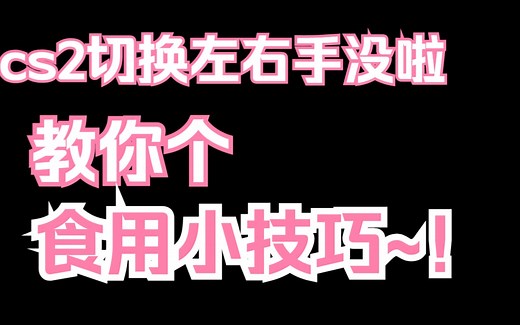 CS2切换左右手没了怎么办，一个办法教你，就嘎嘎好用，食用小技巧分享！