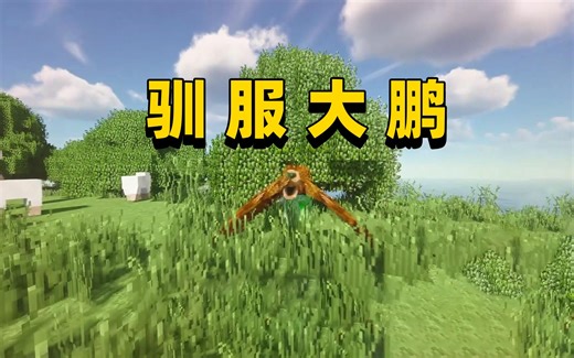 我的世界RLCraft生存32 驯服大鹏