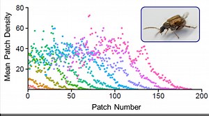 Eco-evolutionary dynamics