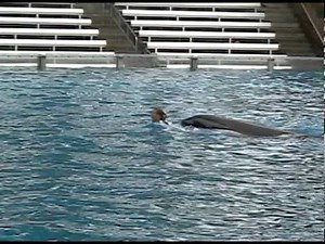 Takara & Kohana - Training Session (November 2004)