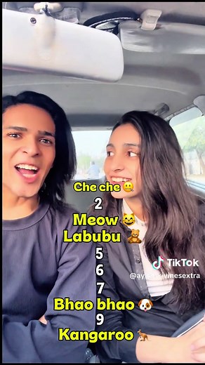 1 to 10 Counting Challenge with Crazy Twists!