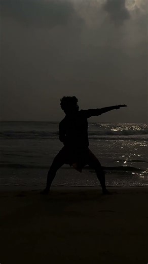 Theekoluthi | Bison | Silhouette Dance | Karthik | VIBES ON DANCE STUDIO