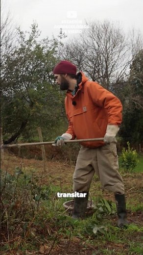 FROM BRAMBLE TO FOREST #agroforestry