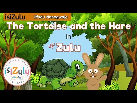 Children's Story | Tortoise and the Hare told in isiZulu | Beginner Zulu Lessons | zululessons.com
