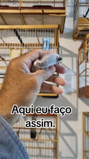 #criatoriosorpion #aves #passaros #naturaleza #nature #natureza #tiktokbrasil #tik #tik_tok