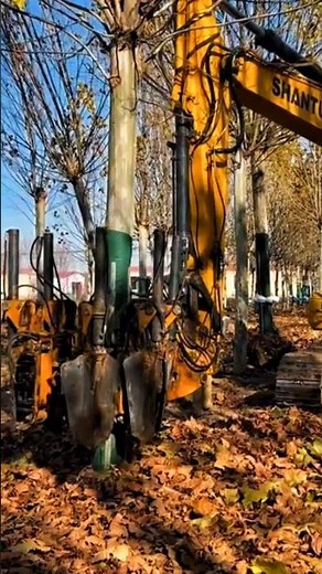 Satisfying Tree Spade Operation – Precision Root Ball Extraction with Heavy Machinery