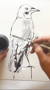 🪄Alchemy, bramble ink and drawing Jackdaws 🐦‍⬛ In the membership last week I shared a video in which I experimented with additives to bramble ink, it was so exciting to see how things transformed. I then used some of the ink to draw one of the jackdaws I illustrated this months ebook with. As you know my focus this month is on Jackdaws and Brambles so this was a lovely combination of the 2. If you want to know more about the membership in which I share at least 3 long form videos and inspirati