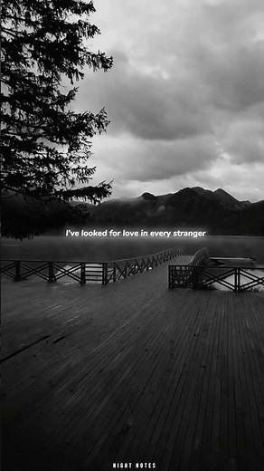 Wolves - Selena Gomez & Marshmallo - ( lyrics ) | aesthetic | whatsapp Status | slowed | speed up