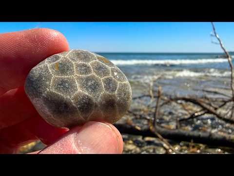 Challenge: Find & Make a Petoskey Sphere in a Day