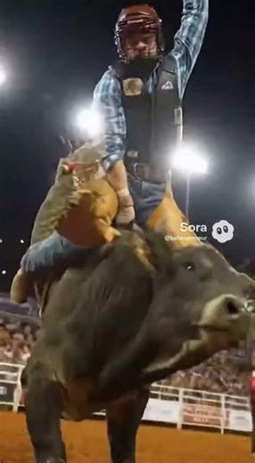 8 second bull ride #country #bull #bullriding #wildlife