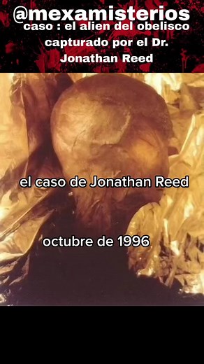 #alienigena #misterio #alien #ufologia👽 #sobrenatural #paranormal #parapsicologia #extraterrestres👽aliens #fypシ #viraltiktok #viral #mexico #latinos #latinoamerica #creadordecontenido #miedoyterror #miedo😱😱😱 #foryou #terrorsobrenatural #terror