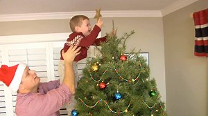 If Christmas trees could talk, oh the stories they would tell! | Real Christmas Tree Board