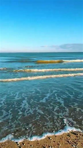 Dérive continentale #popmusic #music #frenchsongs #musique #chanson #chanteur #french