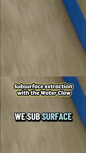 That Squish Mean It's Ready! Extracting Pet Urine With The Water Claw #carpetcleaning