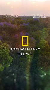 66K views · 1.4K reactions | A story of survival that captivated the world, #LostInTheJungle is now streaming on Disney+ and Hulu. | National Geographic Documentary Films | Facebook