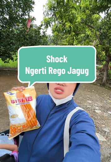 Ngerti Rego Jagung: Petani Muda dan Kesejahteraan