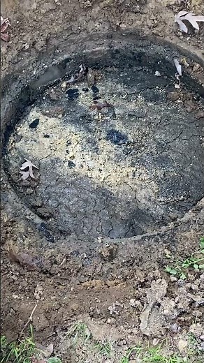 A Septic System Back-up Under The Lid
