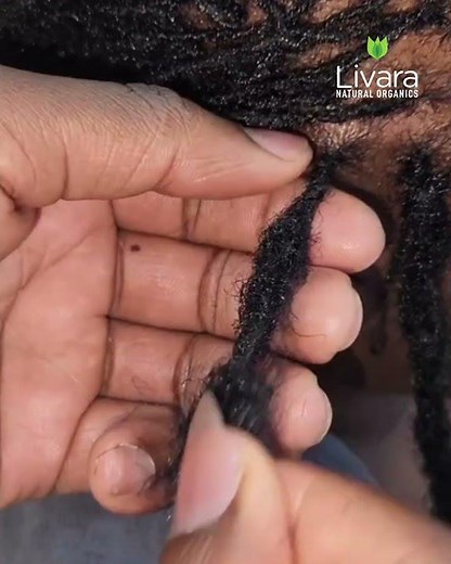 REMOVING LOC EXTENSIONS FROM YOUR SISTER LOCS
